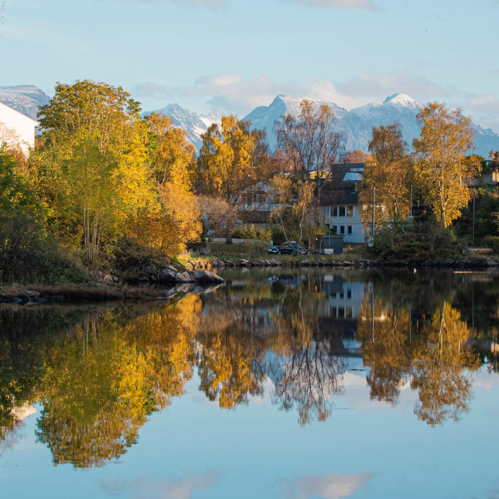 A beautiful image of orange and yellow trees in Norway in autumn