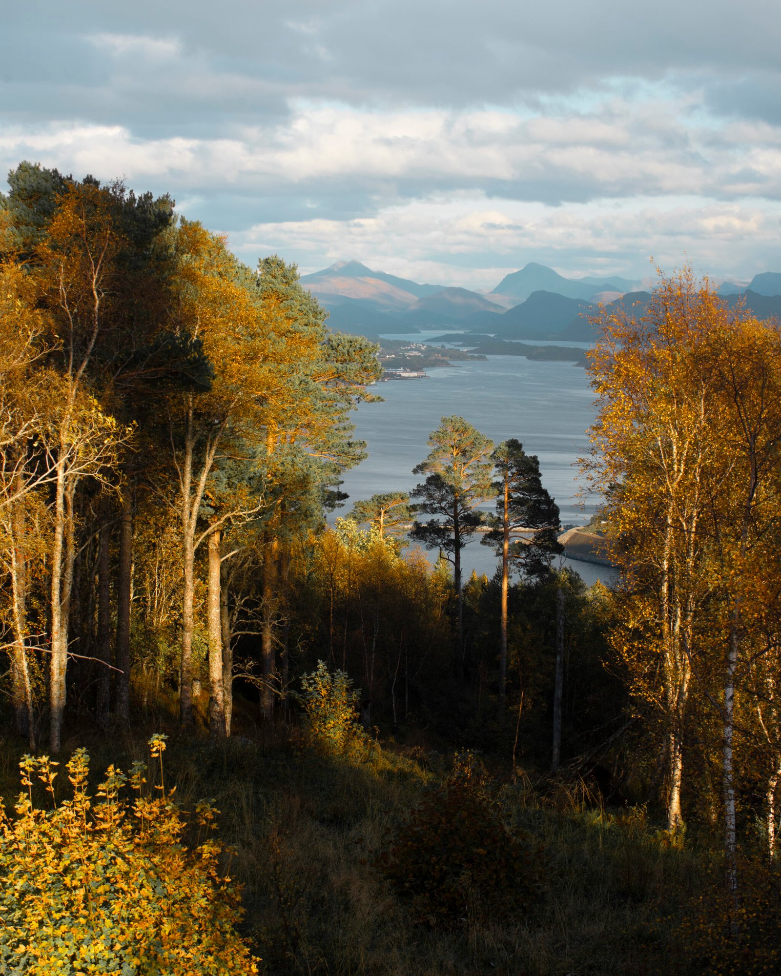 Alesund from the top 